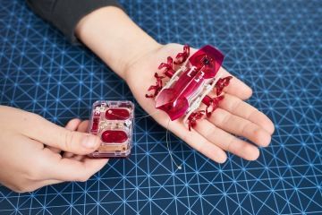 Ohnivý mravenec má oproti micro mravenci navíc ovladač a tykadla.